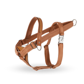 HOZI Bridle Harness - 時尚與功能兼備的狗繩,適合各種場合